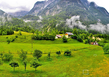 Nature, Trees, Mountains, Forest, Slovenia HD wallpaper