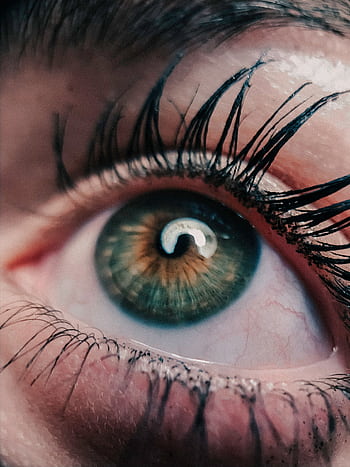 Detailed macro shot of a human eye, showcasing green iris, eyelashes, and reflection. HD phone wallpaper