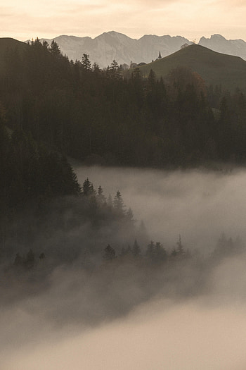 Nature, Trees, Mountains, Twilight, Fog, Dusk HD phone wallpaper