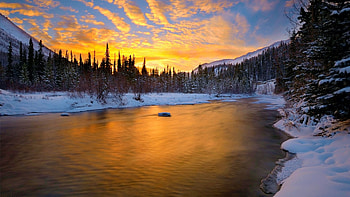 Winter Sunrise, snow, clouds, trees, sky, water, lake, reflections HD wallpaper