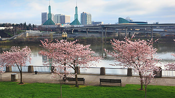 Portland Oregon Skyline, Travels, Weekend guide, Marriott Bonvoy HD wallpaper