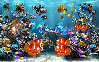*** Underwater ***, animal, underwater, fish, animals HD wallpaper