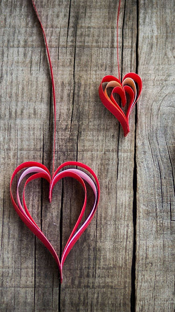 Romantic love, Floral beauty HD phone wallpaper