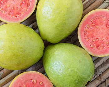 Exotic guava, Tropical cuisine, International supplier, Netherlands HD wallpaper