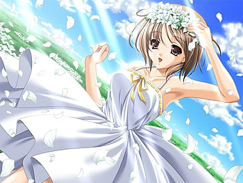 Ogura Kotomi, white, girl, grass, dress, anime, petals, clouds, flowers, sky HD wallpaper