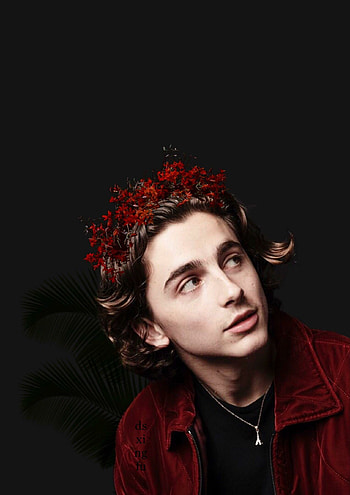 Timothee Chalamet, Aesthetic , Celebs HD phone wallpaper