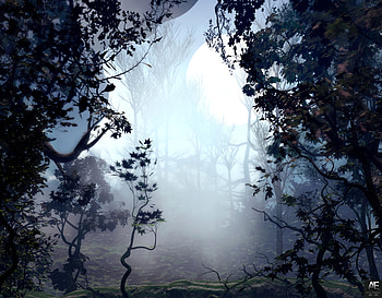 Trees, Art, Forest, Fog HD wallpaper