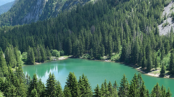 Aerial View Of Lake Surrounded By Trees Bushes Forest Mountain Slope With Reflection On Water Nature HD wallpaper