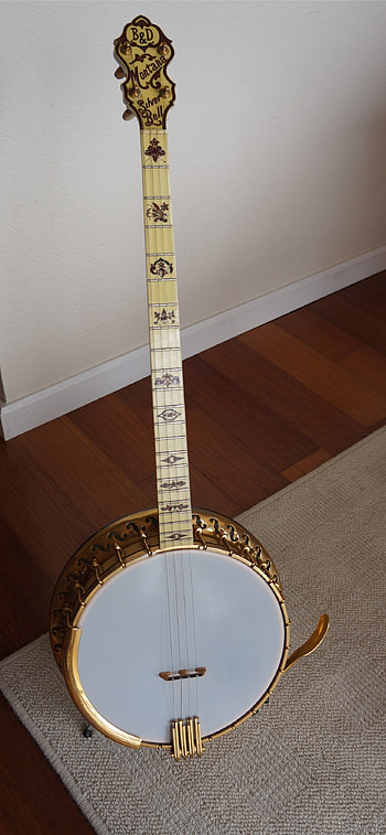 Banjo instrument , Musical charm, Strumming beauty, Melodic strings HD phone wallpaper
