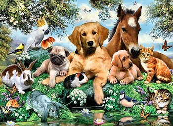 Relaxing Afternoon F1, dog, animal, horse, feline, painting, butterfly, equine, songbird, goldfinch, hamster, rabbit, bird, art, cat, beautiful, artwork, wide screen, guinea pig, canine HD wallpaper