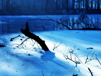 Nature, Lake, Wood, Tree, Morning, Frost HD wallpaper