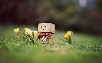 Landscape, Objects HD wallpaper