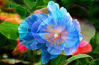 Blue Flower Painting, blue, flower, artist, painting HD wallpaper