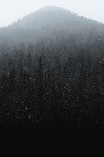 Winter, Nature, Snow, Mountain, Forest, Snowfall HD phone wallpaper