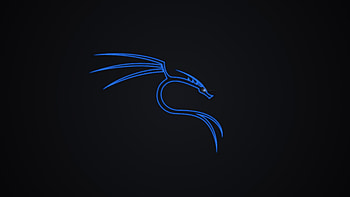 Kali Linux Dragon - Technology, technology, Linux, Kali Linux HD wallpaper