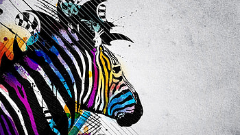 Zebra 3D Abstract HD wallpaper