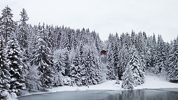 winter lake in switzerland, forest, lake, snow, cabin HD wallpaper