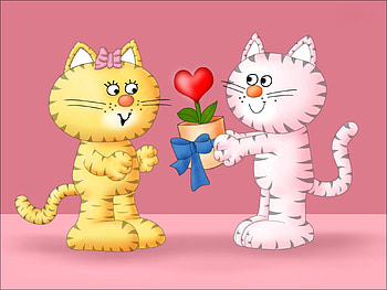 Cats, Love, Present, Gift, Lovers HD wallpaper