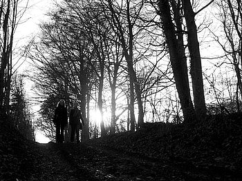 People in forest, two, white, black, graphy, people, others, abstract, sun, forest HD wallpaper