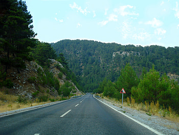 Road, mount, nature, green HD wallpaper