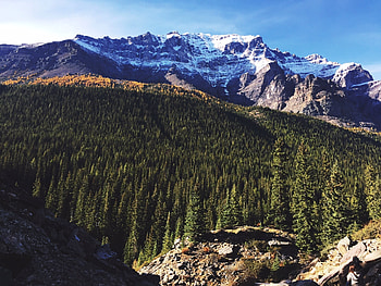 Nature, Trees, Sky, Mountains, Panorama HD wallpaper