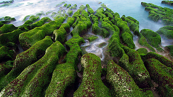 Asia, Beautiful , Cultural diversity, Exotic destinations HD wallpaper