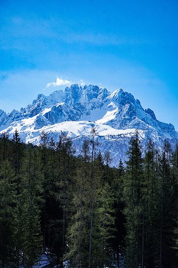Landscape, Nature, Trees, Mountains, Snow, Vertex, Top, Forest HD phone wallpaper