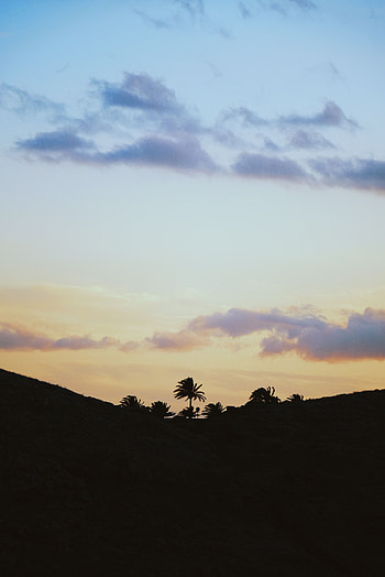 Nature, Sky, Clouds, Palms, Horizon HD phone wallpaper