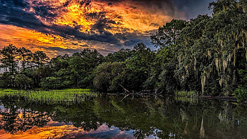 South Carolina, , Beautiful backgrounds, Southern splendor HD wallpaper
