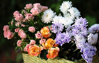 Beautiful flowers, natural, roses, floral, beautiful, beauty, basket, purple, still life, pink, freshness, yellow, nature, flowers, chrysanthemum HD wallpaper
