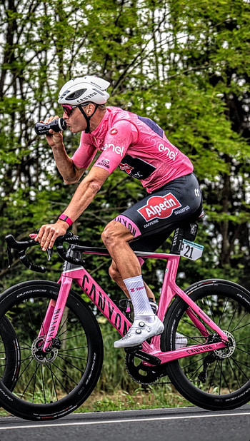 Mathieu Van Der Poel, pink, italia, maglia, mvdp, magliarosa, panther, rosa, giro HD phone wallpaper
