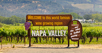 Napa wineries, 2020 vintage, Wine production, Quality grapes HD wallpaper