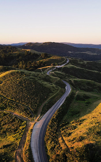 Nature, Trees, Road, Hills, Winding, Sinuous HD phone wallpaper