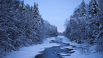 Finland travels, Winter landscapes, Snowy forests, Nature's tranquility HD wallpaper