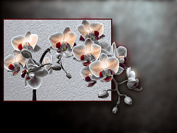 Flowers, 3d HD wallpaper