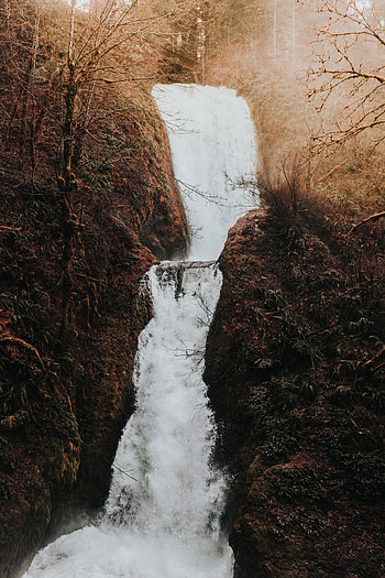 Nature, Water, Grass, Autumn, Waterfall, Branches, Flow HD phone wallpaper