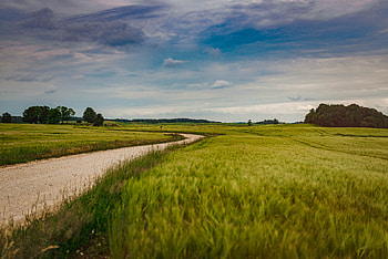 Nature, Summer, Road, Field HD wallpaper