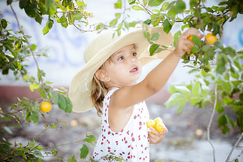 little girl, pick, childhood, blonde, fair, nice, adorable, bonny, sweet, Belle, white, Hair, girl, tree, summer, comely, sightly, pretty, green, face, lovely, pure, child, graphy, cute, baby, , Nexus, beauty, kid, hat, beautiful, people, little, Fruit, pink, dainty HD wallpaper