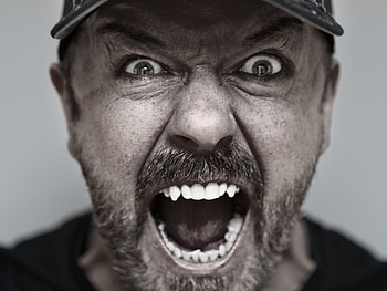 Ricky Gervais, Supernature tour, Hilarious stand-up, London comedy scene HD wallpaper