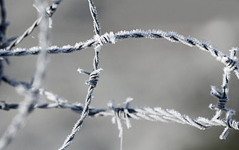 Macro, Frost, Hoarfrost, Metal, Barbed Wire HD wallpaper