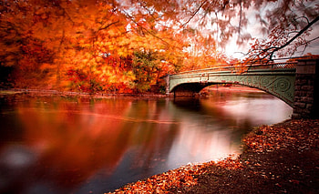 Autumn Bridge, bridge, river, autumn, reflection HD wallpaper