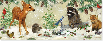 the meeting in the forest, winter, wood, forest, animals HD wallpaper
