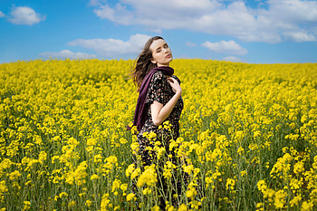 A Girl Amidst A Vibrant Field Of Sunflowers, girls, model HD wallpaper
