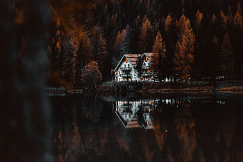 Nature, Houses, Lake, Shore, Bank, Forest, Small Houses HD wallpaper