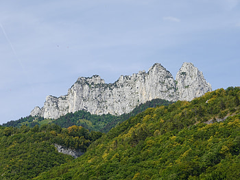 Landscape, Nature, Trees, Rocks, Mountain HD wallpaper