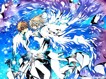 Syaoran and Sakura, love, fate HD wallpaper