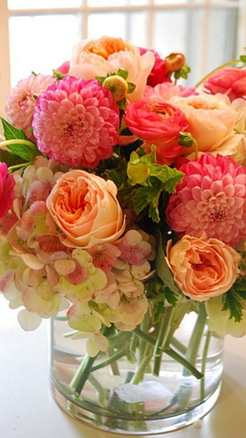 Beautiful Flowers, Flower Pot HD phone wallpaper