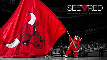 The Chicago Bulls Post All-Star Expectations HD wallpaper