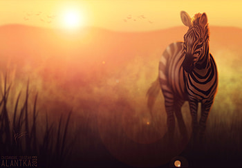 Giraffe Art, giraffe, artist, artwork, digital-art, deviantart HD wallpaper
