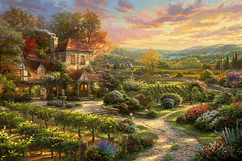 wine countryt living, vines, grape, living, country, wine HD wallpaper